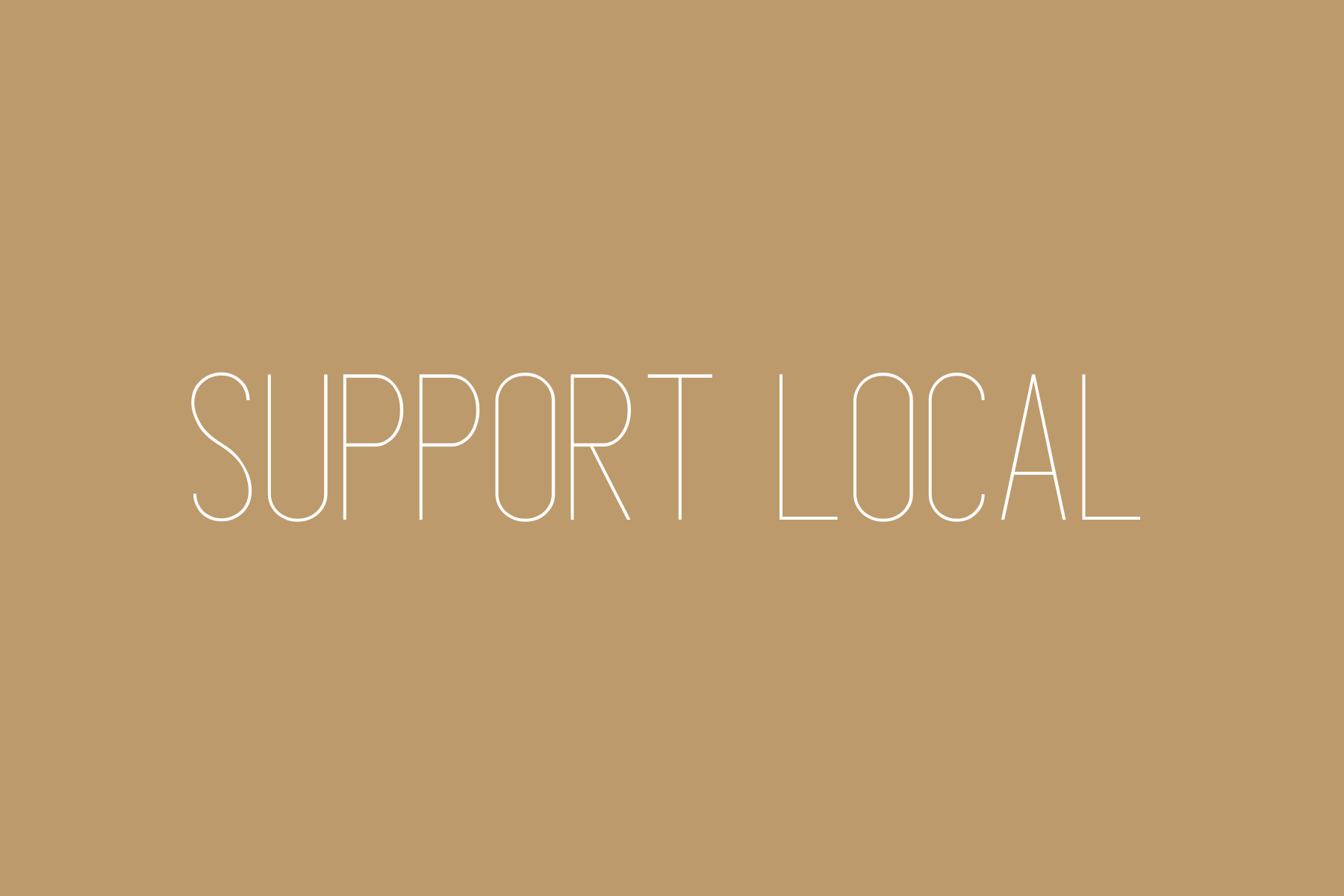 support small business, Saint Paul businesses, Saint Paul small business, support local, Block Studios, Saint Paul restaurants, West Saint Paul restaurants