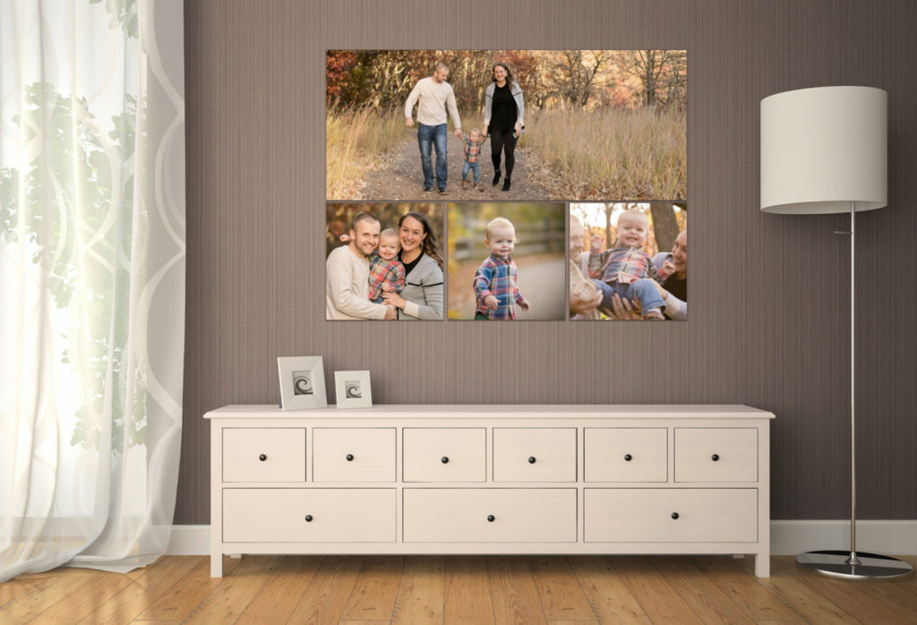 Family Photo hung on the wall in Mendota Heights by Block Portrait Studios